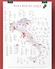 plakaty WINO Włochy regiony winiarskie plakat mapa
