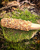 akcesoria do jogi Palo Santo z kwiatami pomarańczy