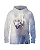 bluzy męskie Męska Bluza z kapturem DR.CROW Winter Wolf