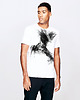 t-shirty męskie Bird Men's T-shirt