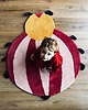 pokój dziecka - różne Dywan wełniany Helen beetle 120 x 108 cm handtufted