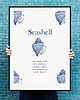 plakaty Plakat Seashell 50x70