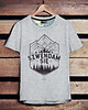 t-shirty męskie Koszulka męska SZWENDAM SIĘ/GÓRY szara