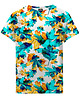 t-shirty dla chłopców T-shirt Boy DR.CROW Cyan Leaves