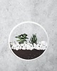 doniczki Circle planter "S" - dekoracja ścienna