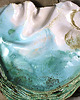 patery i talerze GIGA patera - Organic Form