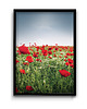 plakaty Plakat Maki