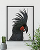 plakaty Plakat Papuga - 50x70cm