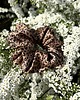 gumki do włosów Scrunchie Arya