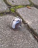 pierścionki - różne Szarość radość - pierścionek regulowany