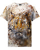 t-shirty dla chłopców T-shirt Boy DR.CROW Golden Tiger