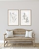 grafiki i ilustracje DWA PLAKATY galeria botaniczne monstera