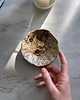 pojemniki na biżuterię Ceramiczna Miseczka Skorupka na Biżuterię Przekąski Przepiórka