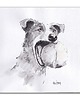 grafiki i ilustracje Jack Russel terier. Tenis. Grafika ręcznie malowana