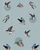 grafiki i ilustracje Plakat, kolaż Bluebird