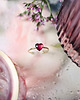 pierścionek z żywicy Pierścionek z kwiatem pelargonii angielskiej