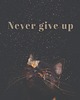 plakaty Plakat Never give up
