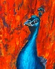 obrazy Obraz Olej Paw Czerwień 40x60 Impasto Abstrakcja Pióra Faktura