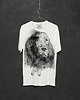 t-shirty męskie Irish Setter Dog Men's T-shirt white