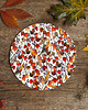 podkładki do kuchni Podkładka pod talerz- Miechunka- Jesień- Ilustracja- Jesienny pattern