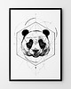 plakaty Plakat Panda geometria