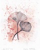 plakaty Plakat Ginko Biloba - Miłość Harmonia Miłorząb