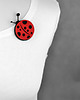 broszki FeltLadybird 3
