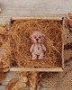 broszki Mini miś- broszka