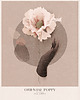 grafiki i ilustracje Ilustracja POPPY