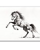 grafiki i ilustracje Grafika ręcznie malowana  Konie Koń
