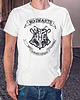 t-shirty męskie Koszulka Harry Potter Hogwart