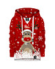 bluzy dla dziewczynki Bluza Dziewczynka DR.CROW Renifer