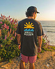 t-shirty męskie Koszulka Swell seeker
