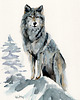 grafiki i ilustracje Obraz ręcznie malowany "Wilk"