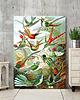 plakaty Rajskie ptaki 50x70 cm - plakat B2