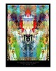 plakaty Kaleidoscope II, abstrakcja, oryginalny plakat 50/70 cm