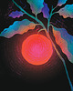 grafiki i ilustracje Magic fruit