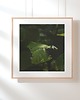 fotografia Fotografia autorska z cyklu "Zwyczajność"