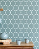 tapety i naklejki ścienne Powtarzalny szablon malarski / HEXAGON CIRCLES