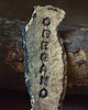 kuchnia - różne OREGANO_złote litery_zielnik