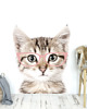 naklejki ścienne do pokoju dziecka Kot w różowych okularach - Naklejka Na Ścianę