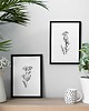 grafiki i ilustracje Zestaw dwóch grafik botanicznych