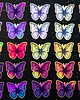 naklejki i wlepy Motyl holo - naklejka
