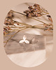 kolczyki pozłacane Mini kolczyki kwiatuszki srebrne, wkrętki, sztyfty kwiaty