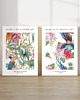grafiki i ilustracje DWA PLAKATY galeria botaniczne chinoiserie