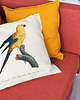 poduszki z grafiką Poduszka - Papuga Sun Parakeet