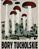 plakaty Plakat Bory Tucholskie (R. Kaja) 98x68 cm