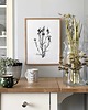 grafiki i ilustracje Zestaw trzech grafik botanicznych 30x40