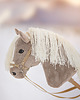 zabawki - inne Hobby Horse + ogłowie + wodze