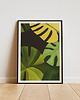 plakaty Plakat - Monstera